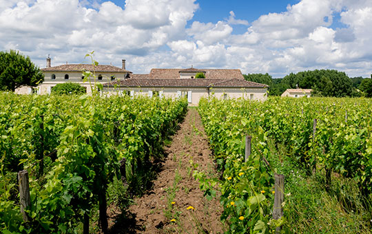 Gite Laplagnotte Saint-Émilion