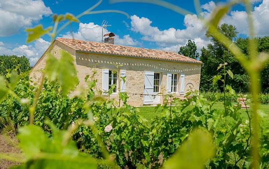 Gite Laplagnotte Saint-Émilion